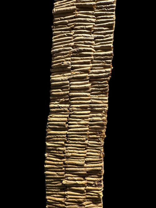 7A5E81CB-7520-4529-B7B1-95B175CFC215_1_105_c