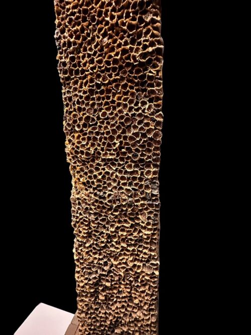 F3DE670A-AF76-46CF-A268-98A03620C2EA_1_105_c