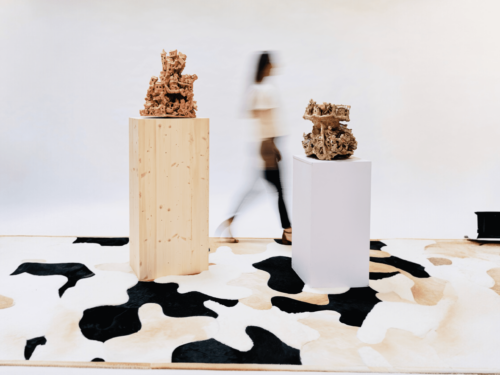 Photoroom_20251005_113832